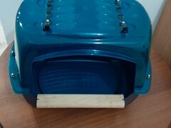 Cada (piscina) papagali mari